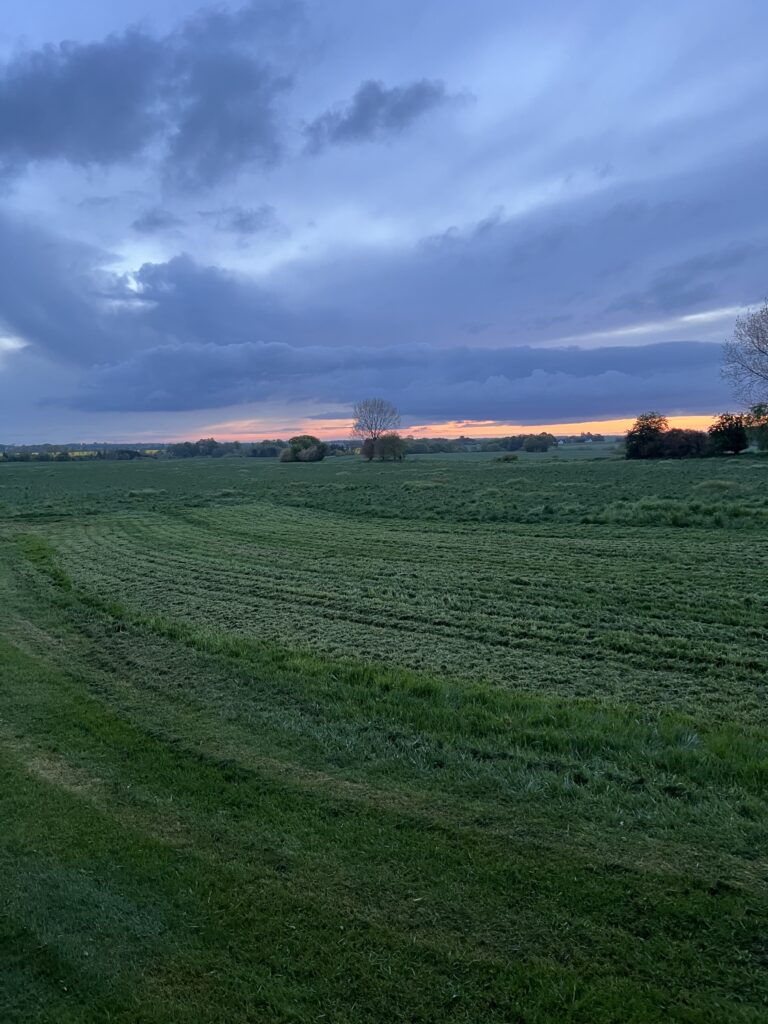 Ude på jagt d. 16. maj om morgenen. Skøn morgen