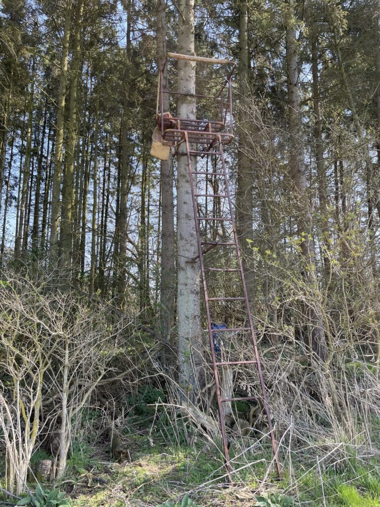 Gammel rusten skydestige af metal ved en skovkant