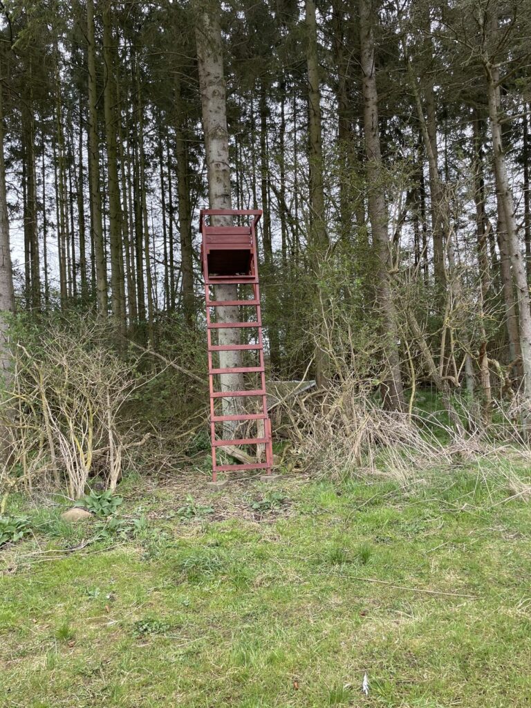 Skydestige af træ i en skovkant set fra marken